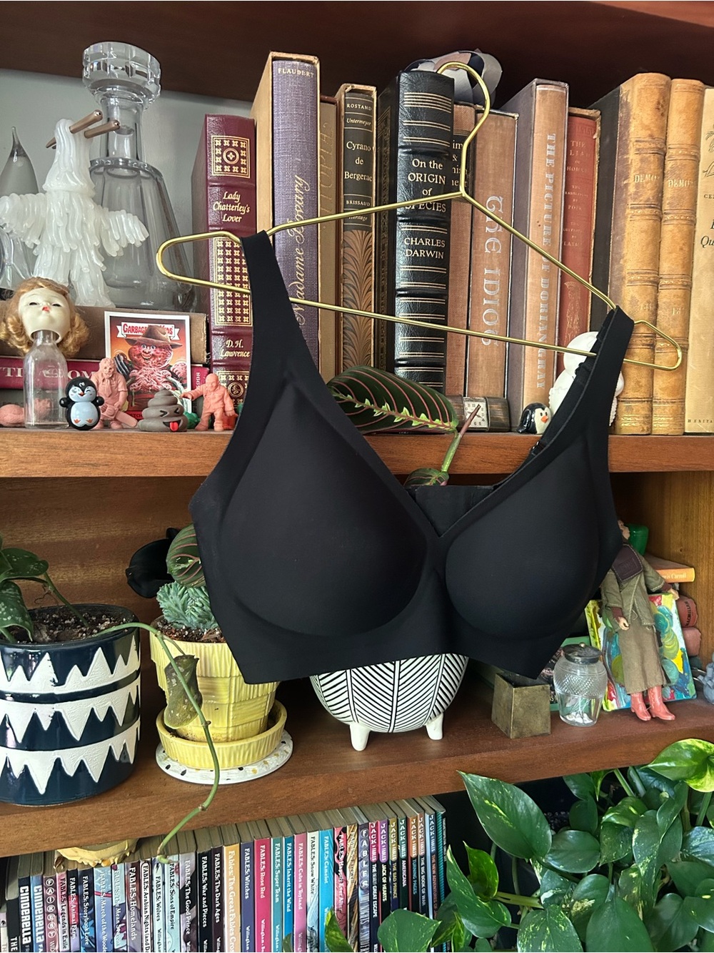 SheCurve wireless jelly bra